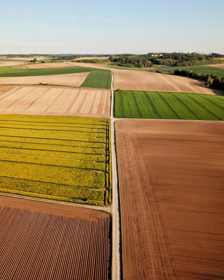 Güte den Siegeln - Feld Bio